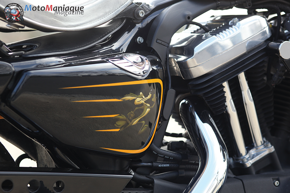 Peinture perso sur une HD Forty-Eight : superbe !